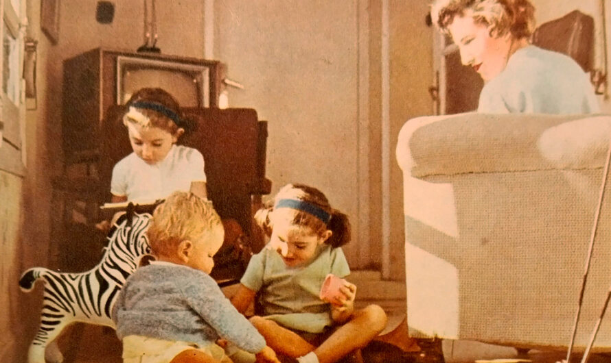 La generación sobrante, o el origen de la plaga boomer