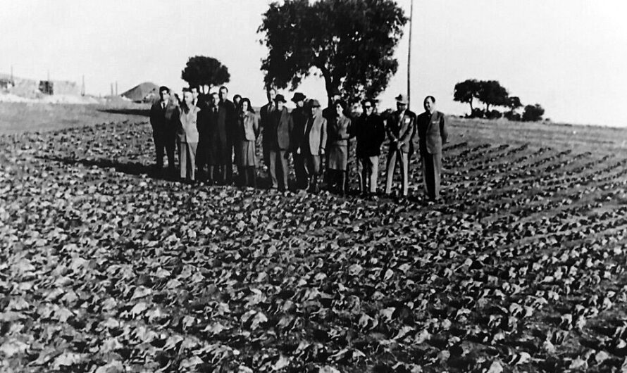 Cazadores y neofranciscanos