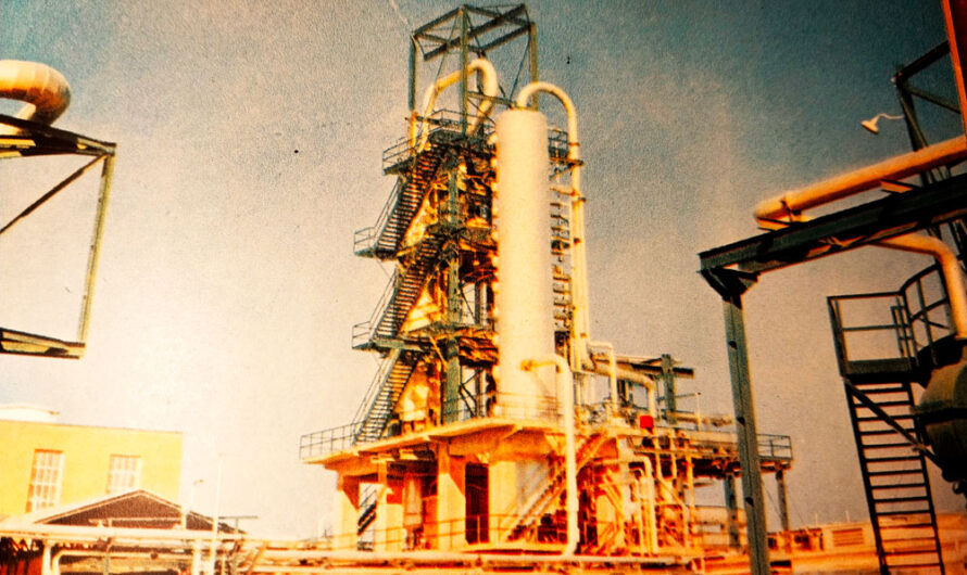 El Movimiento Nacional surfea sobre una ola de petróleo