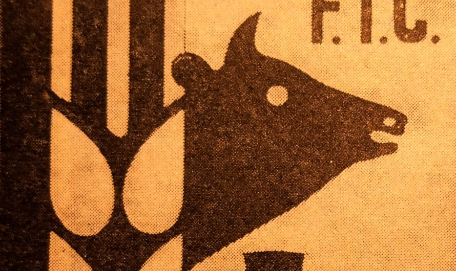 Cerdos delgados y pollos gigantes: ni un español sin carne