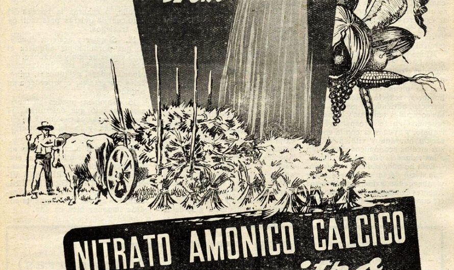 En busca del nitrógeno