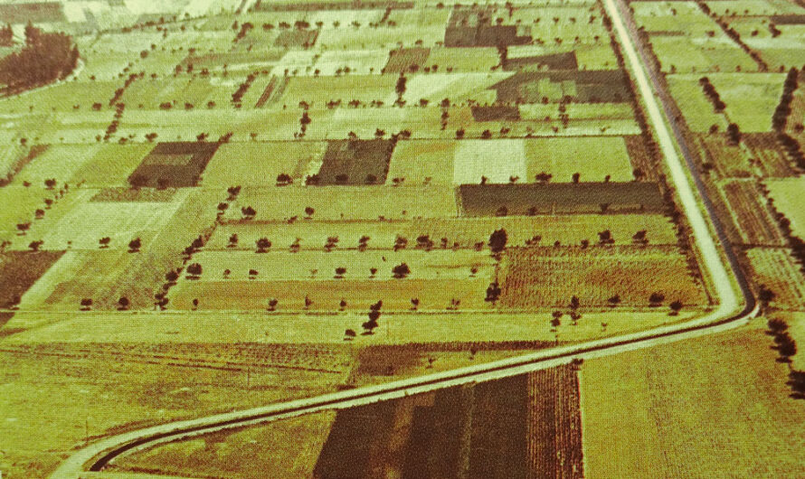 Transformar los campos, modernizar el paisaje